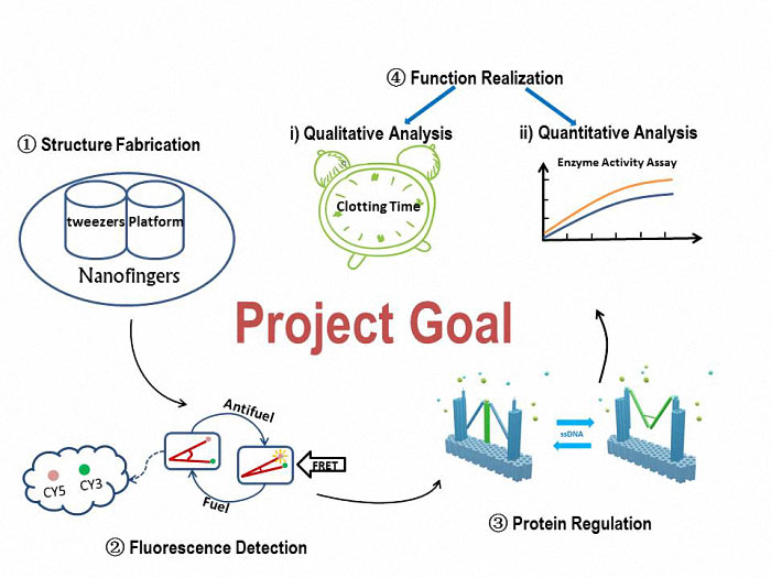 A simple view of our goal and experiment.